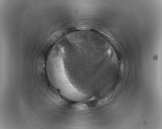 X0000090730322200708101646