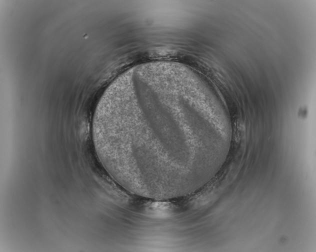 X0000090730324200708101646