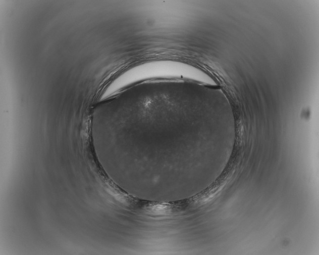 X0000090730325200708101645