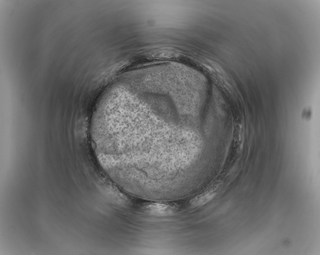 X0000090730326200708101645