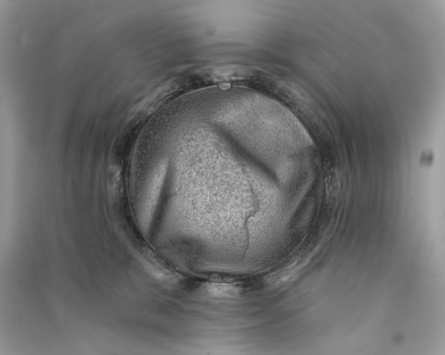 X0000090730327200708101645