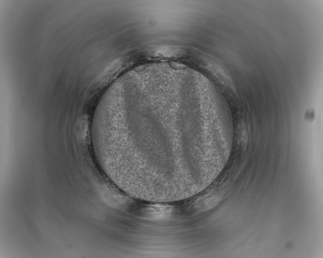 X0000090730328200708101645