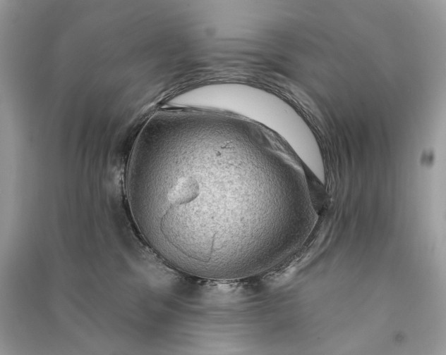 X0000090730329200708101645