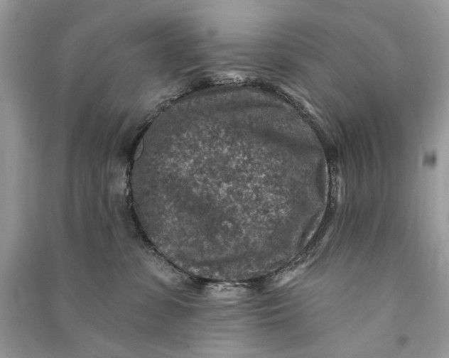 X0000090730331200708101645