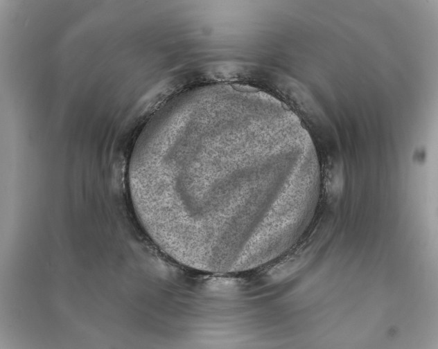 X0000090730332200708101645