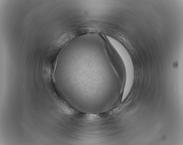 X0000090730333200708101645