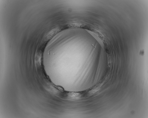 X0000090730334200708101645