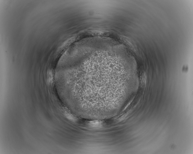 X0000090730335200708101645