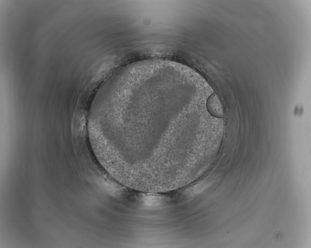 X0000090730336200708101645