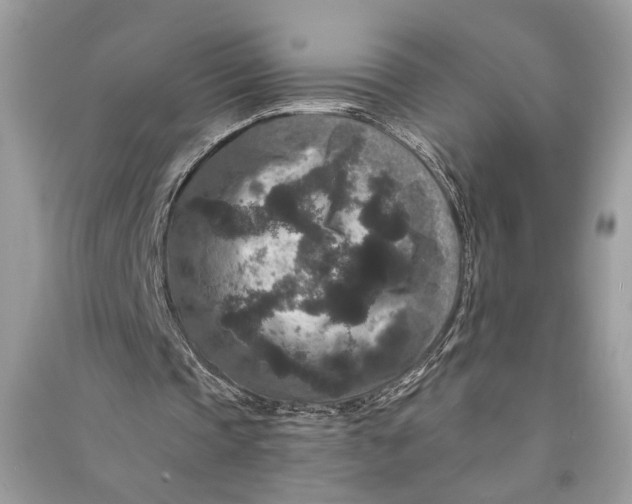 X0000090730337200708101645