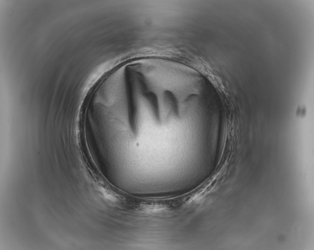 X0000090730340200708101645