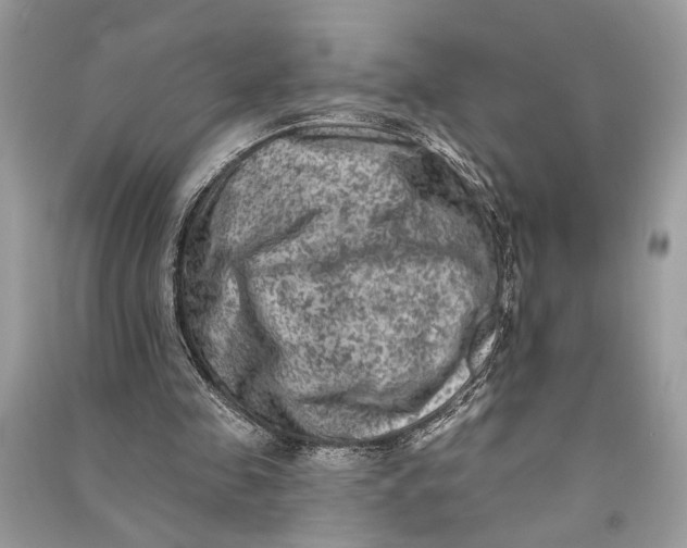 X0000090730341200708101645