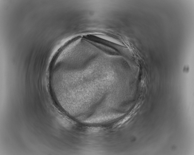 X0000090730342200708101645