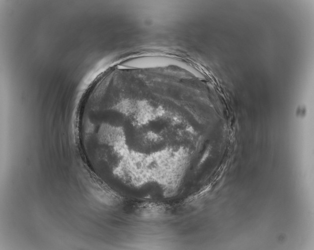 X0000090730343200708101645