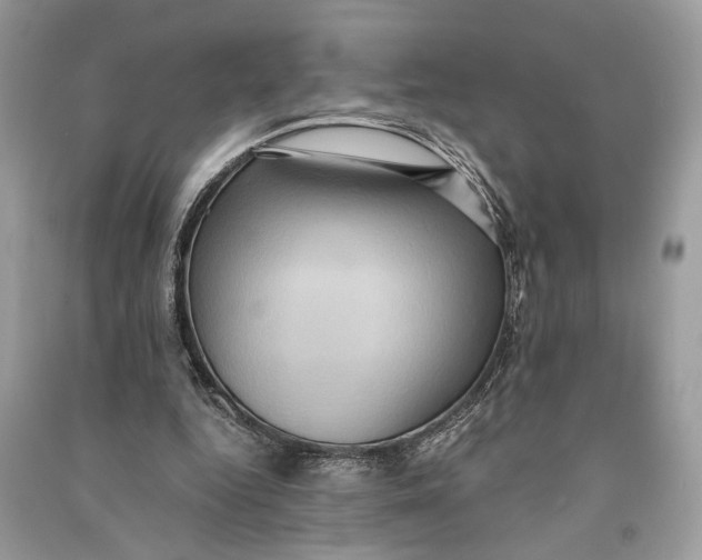 X0000090730344200708101645