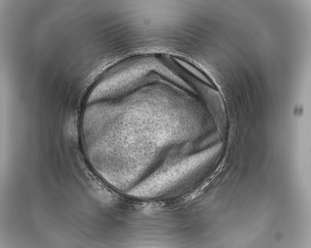 X0000090730345200708101645