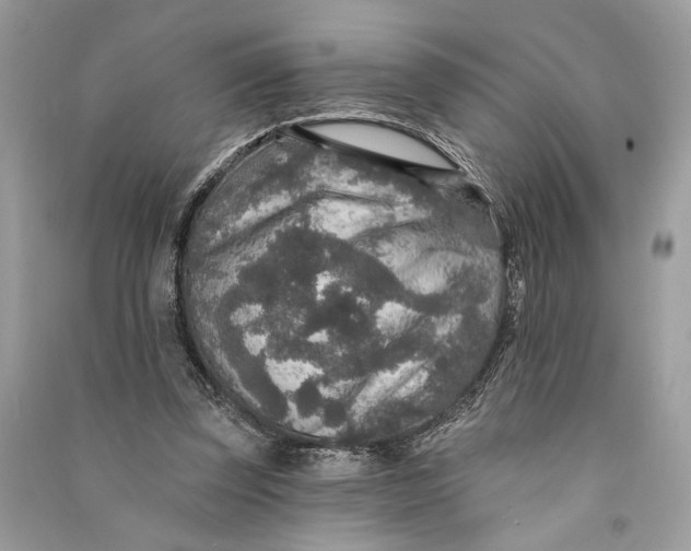 X0000090730347200708101645