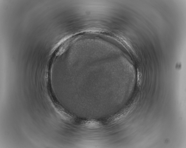 X0000090730348200708101645