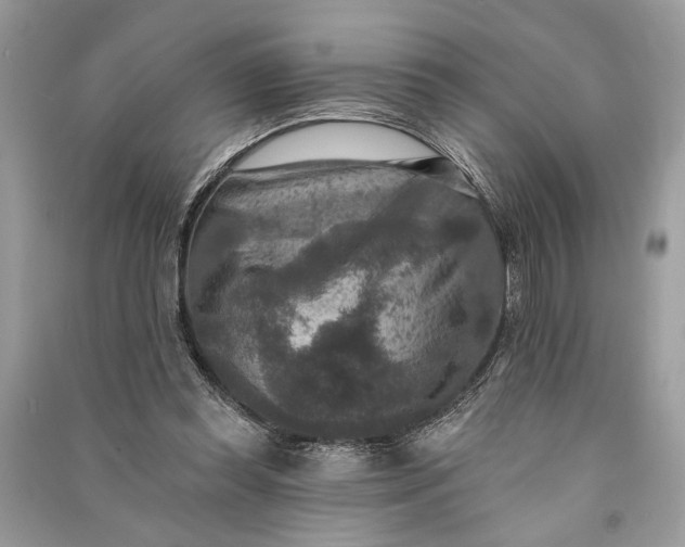 X0000090730349200708101645