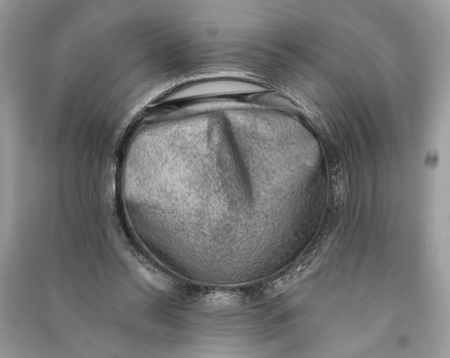 X0000090730350200708101645