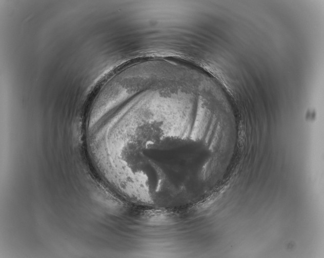 X0000090730351200708101645