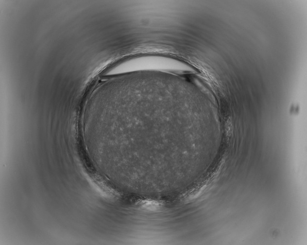 X0000090730352200708101645