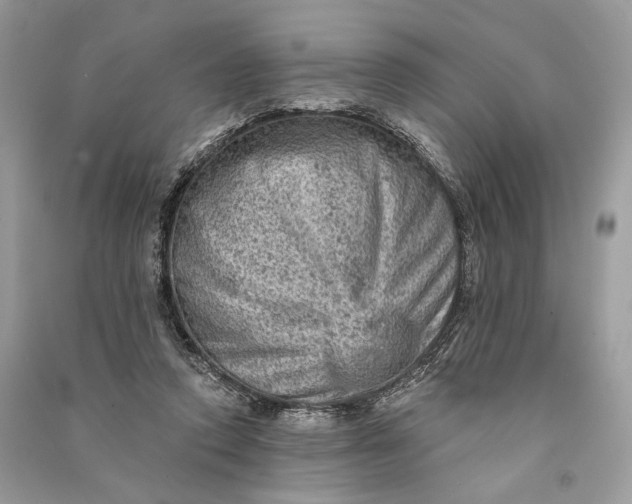 X0000090730354200708101645