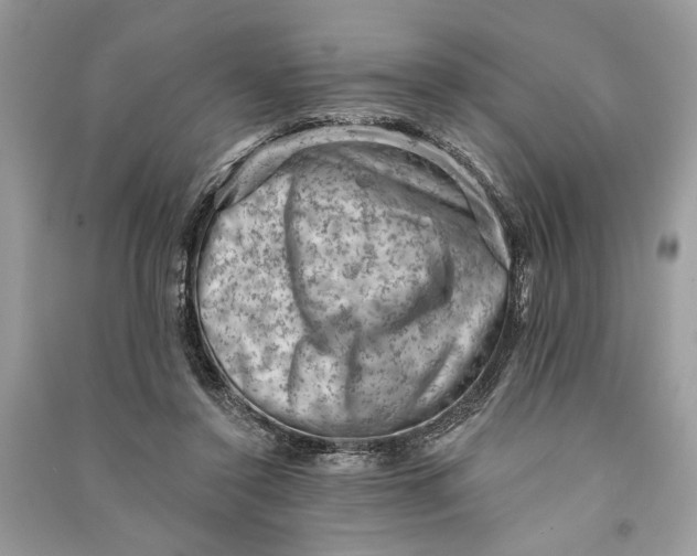 X0000090730356200708101645