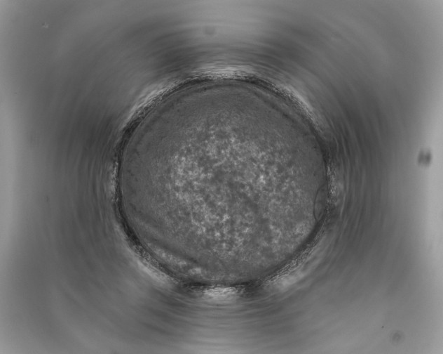 X0000090730357200708101645