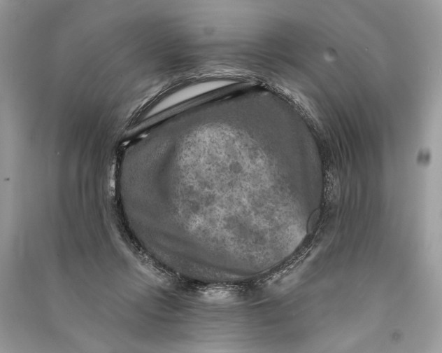 X0000090730358200708101645