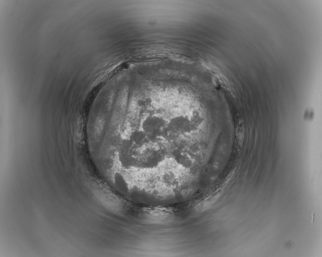 X0000090730359200708101645