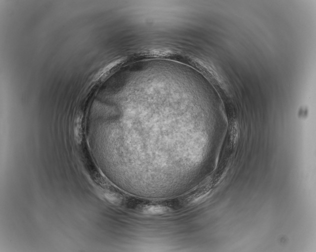 X0000090730360200708101645