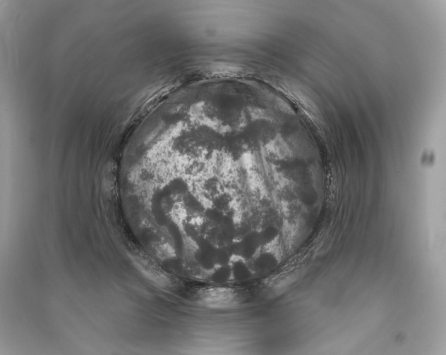 X0000090730361200708101645