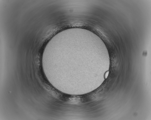 X0000090730362200708101645