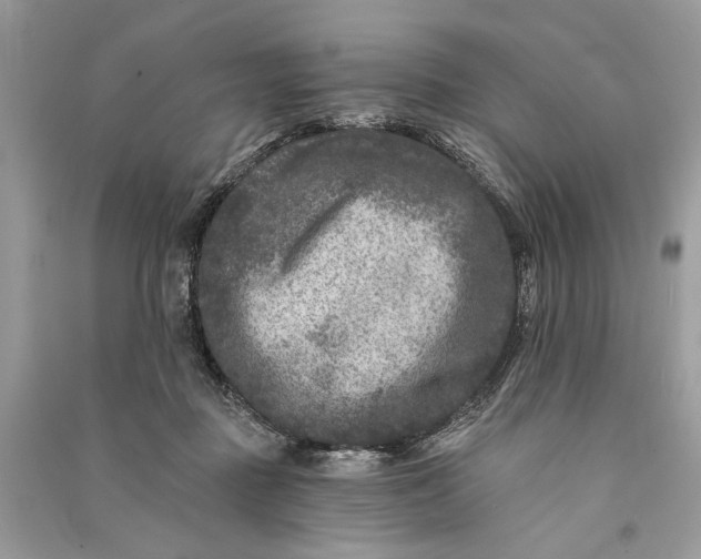 X0000090730363200708101645