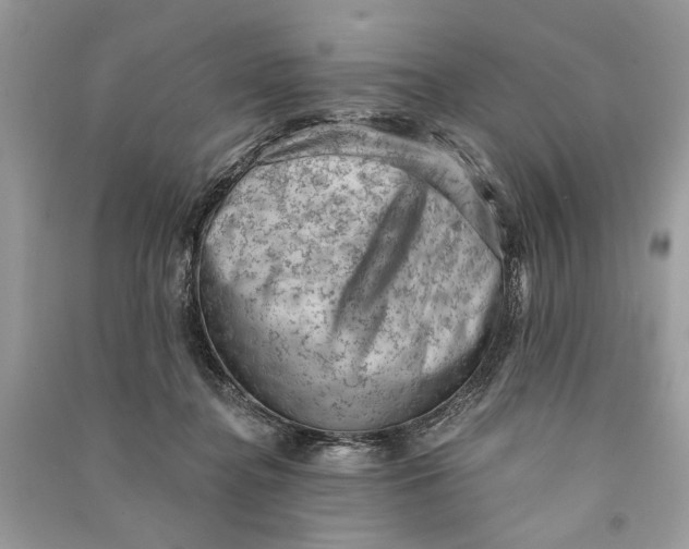 X0000090730364200708101645