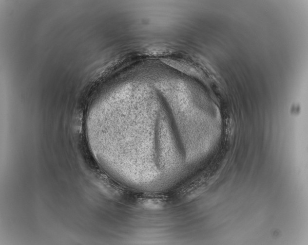 X0000090730368200708101645