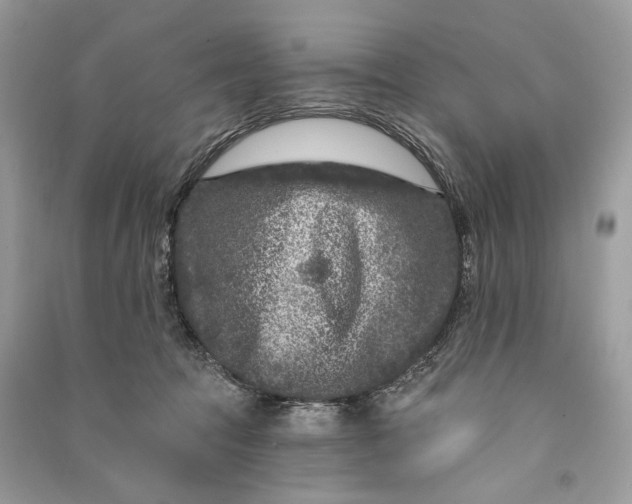 X0000090730369200708101645