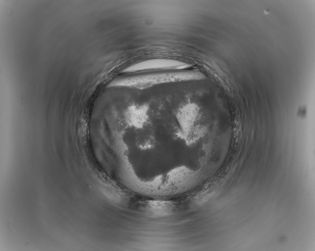 X0000090730371200708101645