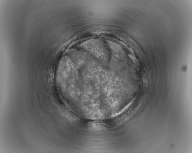 X0000090730372200708101645