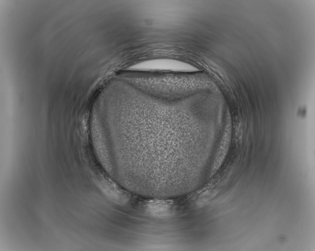 X0000090730373200708101645