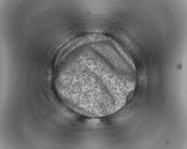 X0000090730374200708101645