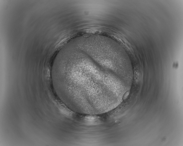 X0000090730375200708101645