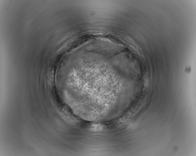 X0000090730376200708101645