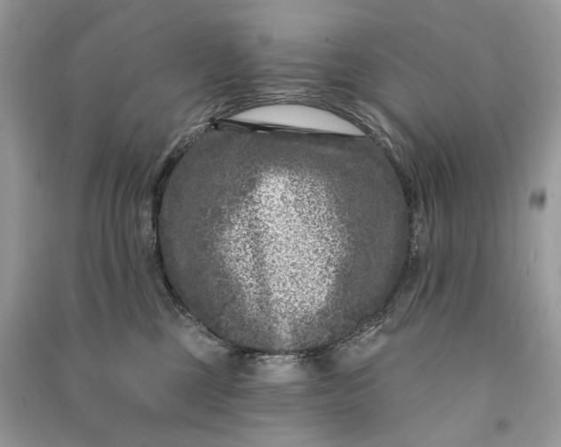 X0000090730377200708101645