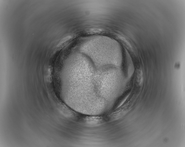 X0000090730378200708101645