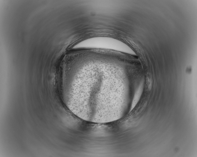 X0000090730379200708101645