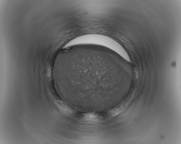 X0000090730380200708101645