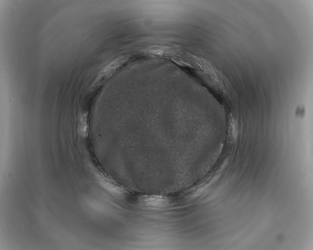 X0000090730383200708101645