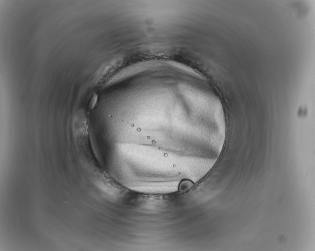 X0000090730384200708101645